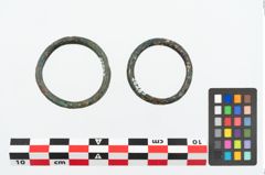 Foto von Bronzering (NHMW-PRAE-026289)